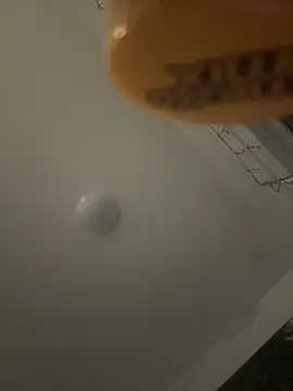 Crossdresser slut69 online show from October 20, 5:28 pm