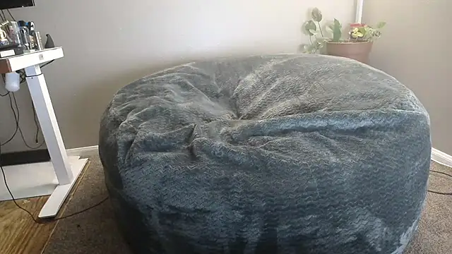 LeeCox online show from January 4, 3:07 pm