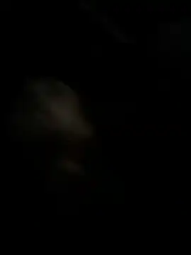 high3ndlowlife online show from November 27, 2:15 am