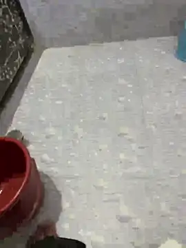 Snapshot of NoddingScorpion chatting on September 21, 12:49 pm NoddingScorpion online show from September 21, 12:49 pm