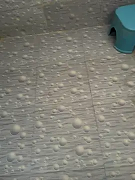 Snapshot of NoddingScorpion chatting on October 15, 3:47 am NoddingScorpion online show from October 15, 3:47 am