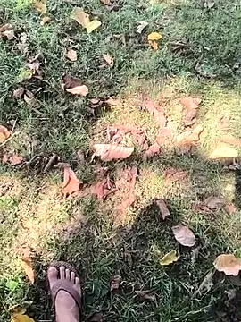 rajdehli online show from October 28, 4:59 am