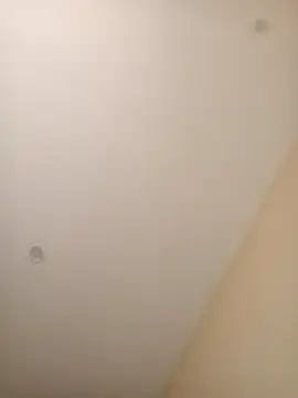 ElBufalo4l online show from November 4, 1:23 pm