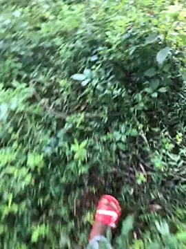 kavi1q1 online show from January 17, 4:37 am