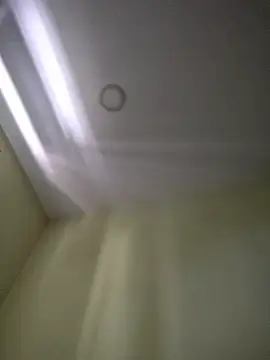 Teodinho 88 online show from June 26, 11:24 am
