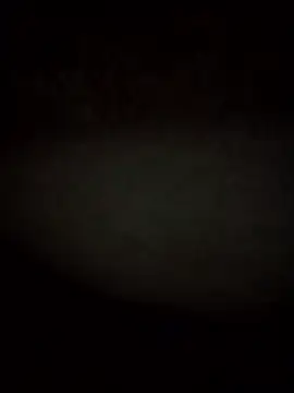 RevokingWaverer online show from February 3, 12:10 pm