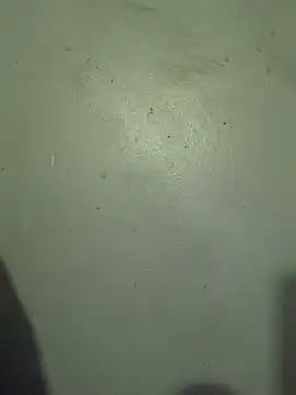 DanBfl online show from March 6, 5:15 am