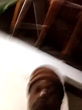 Ashleyjr23 online show from October 12, 2:27 am