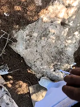 yocoooo online show from November 7, 11:46 am