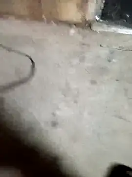 Allinside666 online show from October 3, 12:54 pm