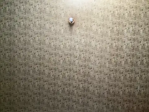 Tookey012 online show from April 19, 7:08 am