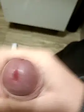 Wolf Okami SP online show from November 24, 2:51 pm