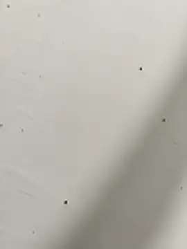 Qksbzozsbsks online show from November 3, 10:52 am