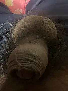 babybaby2000- online show from November 3, 2:26 am