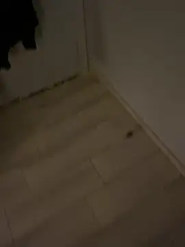 AdaptiveFact7 online show from October 1, 12:03 am