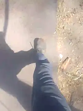 haryanaboypanipat12 online show from April 12, 8:49 am