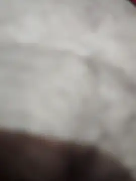 rashid-khan786 online show from September 17, 6:20 pm