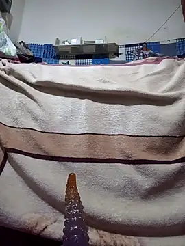 calntt28 online show from February 12, 2:12 pm