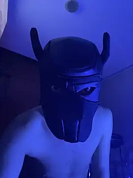 zamir333 online show from November 12, 9:37 am