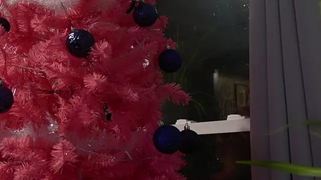 Vox Personas online show from December 18, 6:42 am