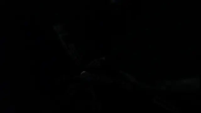 Snapshot of SteveDickson_ chatting on October 14, 9:11 pm SteveDickson  online show from October 14, 9:11 pm