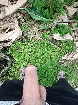 Sikici0734 online show from November 6, 9:34 am