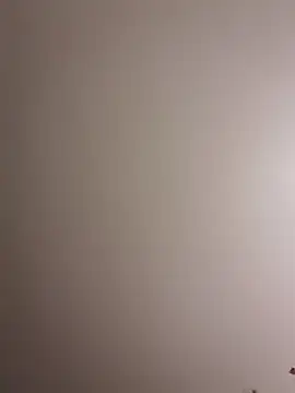 cesar8906 online show from October 7, 12:15 am