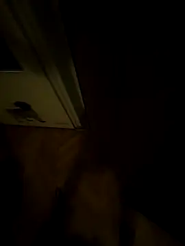 hotboy200006 online show from August 9, 11:43 pm