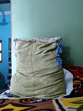  Alfa   914088 online show from March 1, 8:36 am