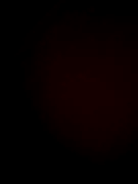 Geilerhengst9797 online show from October 25, 4:03 am