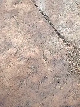 kumarstelugu online show from January 15, 1:42 am