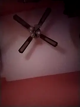 Danii2005 online show from November 20, 8:29 pm