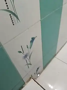 naveen 3222 online show from October 27, 6:54 pm