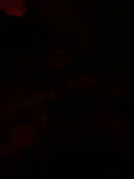 llllllllIIIll online show from March 9, 8:19 am