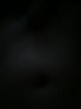 derekp55 online show from November 3, 3:25 pm