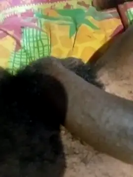 liketosex4 online show from February 17, 12:48 pm