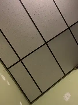 ryanbig online show from March 29, 1:17 am