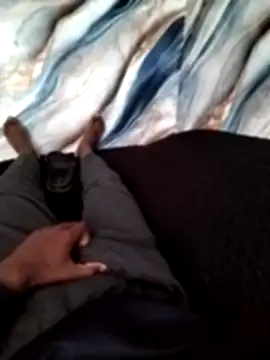 Babz 22 online show from November 28, 2:30 pm