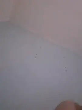 Ba Bi4737 online show from November 16, 1:13 pm