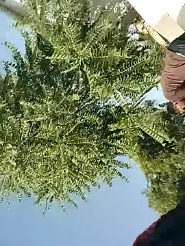 mukeshbhakar online show from November 9, 4:27 am