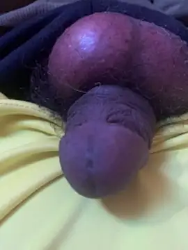 seragzeka online show from May 21, 7:04 am