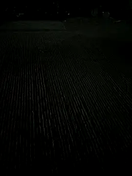 Playboy pune  online show from November 25, 5:48 pm