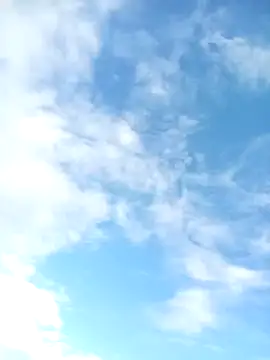 juunioreest online show from January 10, 10:47 pm