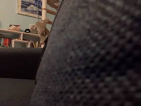 Spielzeugtwink online show from February 20, 6:19 am