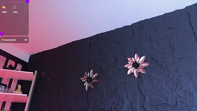 Paulo 527 online show from January 6, 9:30 pm