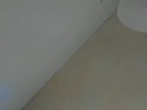 SweeXioji online show from March 2, 6:59 pm