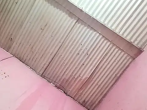 eltrendenoche online show from December 3, 10:27 pm