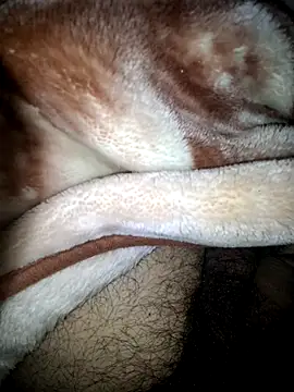 aman4404 online show from February 8, 4:44 pm