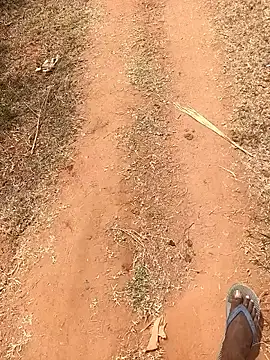 Tamilpaiyan07 online show from February 16, 6:00 am