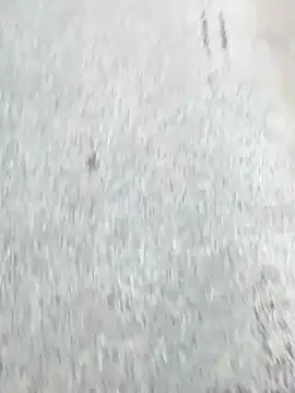 honeypani online show from February 14, 11:05 am